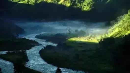 寻找萌宠松鼠