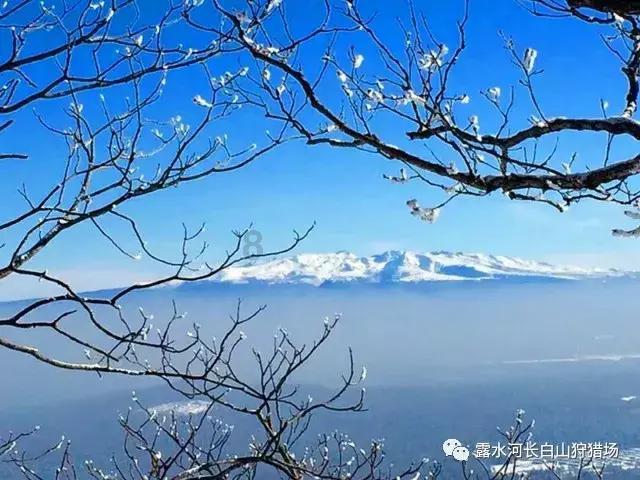 *ST紫鑫及原实际控制人被立案，受损股民可联系索赔